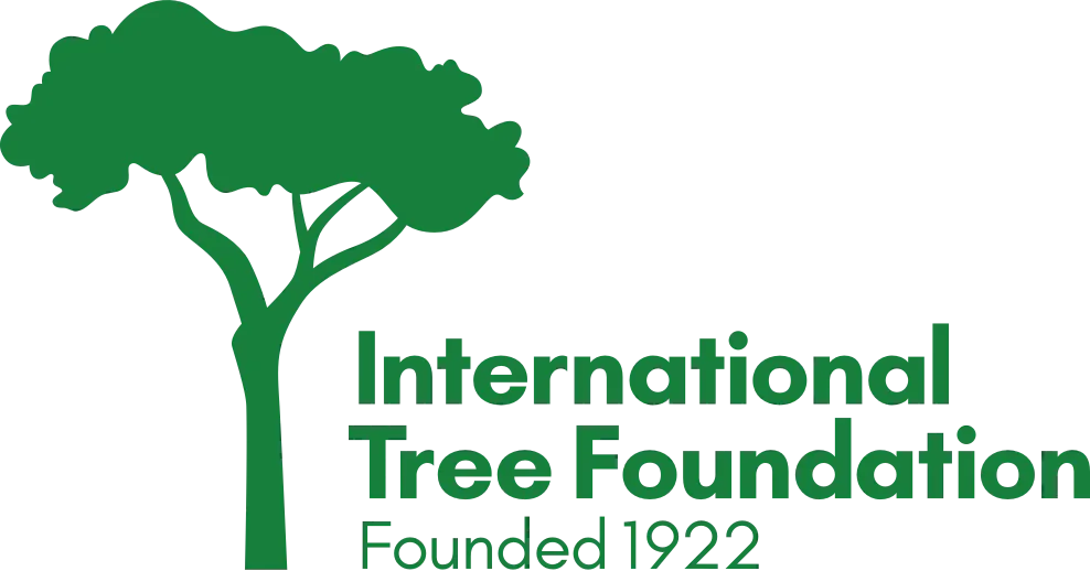 ITF logo